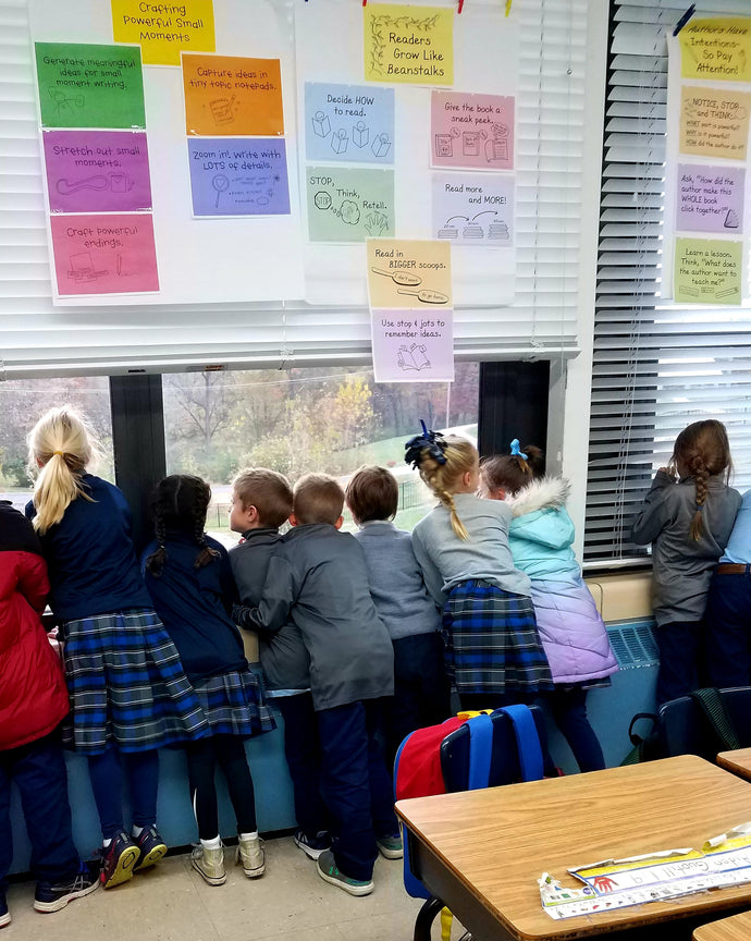 loved as much as you are