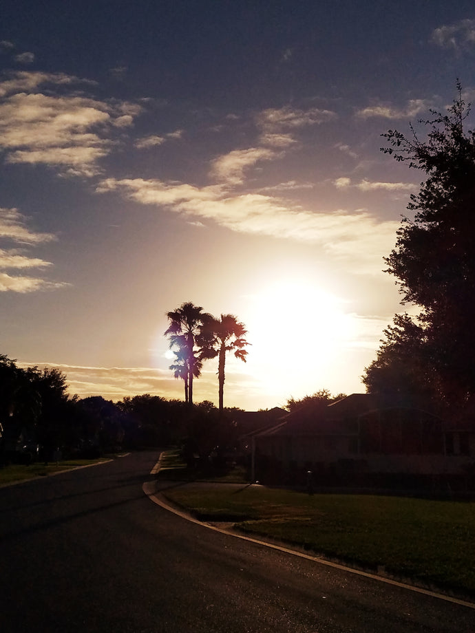 in the garden.. .the hilarity of lent