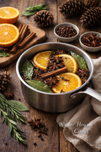 Winter House Simmer Pot Collection