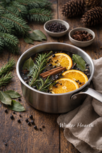 Winter House Simmer Pot Collection