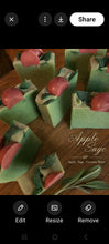 The Winter House Fall Soap Collection