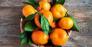 Sweet Citrus Bar Soap